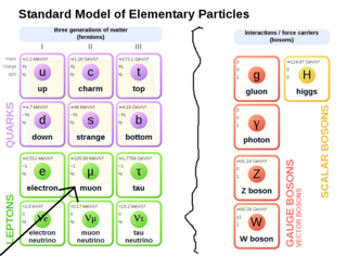 Standard_Model_of_Elementary_Particles.svg.png