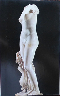 Vinus Cyrene.JPG