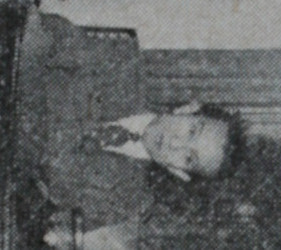 v1n5西川寧.jpg